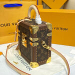 Louis Vuitton Camera Box M10079 Brown